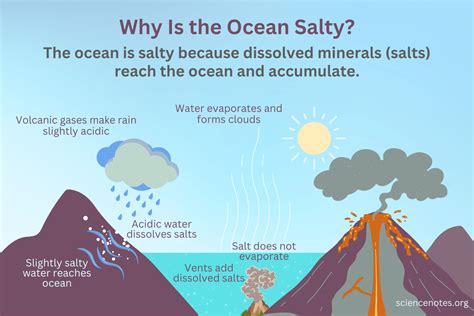 Ocean water salty why. Things To Know About Ocean water salty why. 